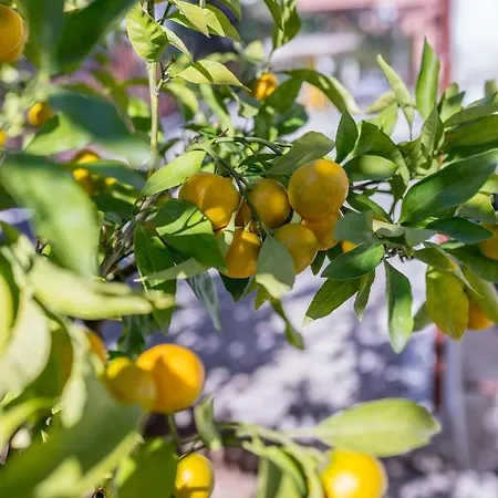 Charming With Private Garden And Terrace