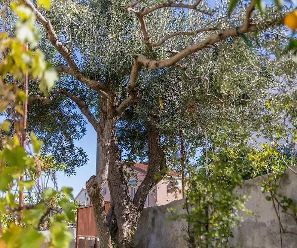 Lägenhet Charming With Private Garden And Terrace Trogir