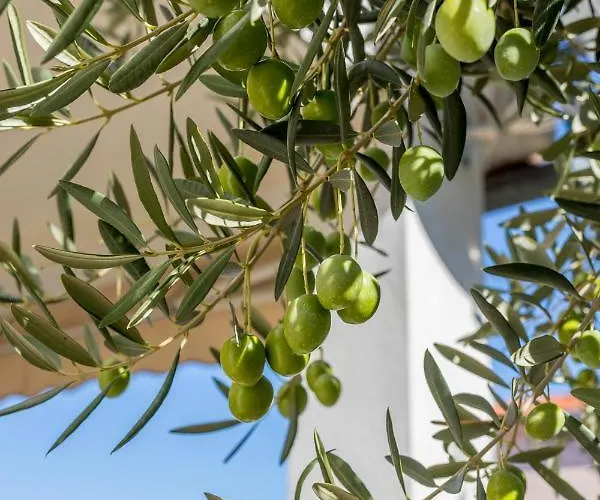 Charming With Private Garden And Terrace *