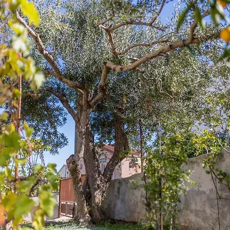 Lägenhet Charming With Private Garden And Terrace Trogir