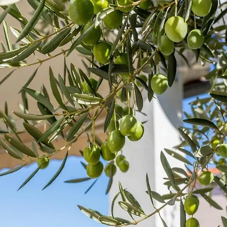 Charming With Private Garden And Terrace *