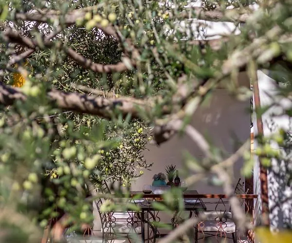 Apartment Charming With Private Garden And Terrace *