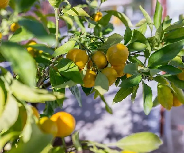 Charming With Private Garden And Terrace